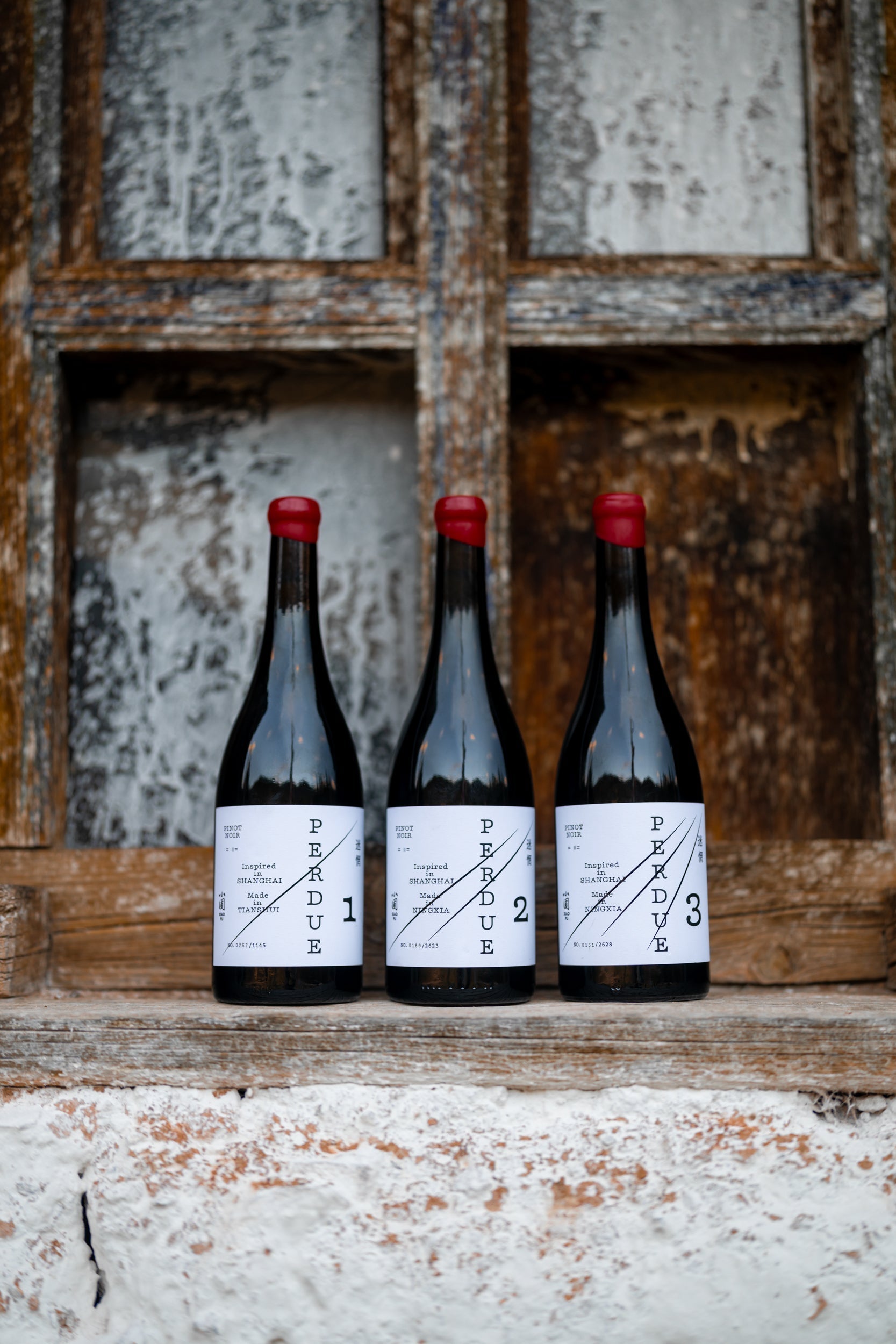 小圃｜迷惘-黑皮诺, 22 XiaoPu | perdue 22